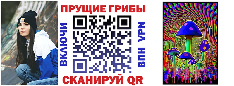 darknet формула  Волхов  Галлюциногенные грибы Magic Shrooms 